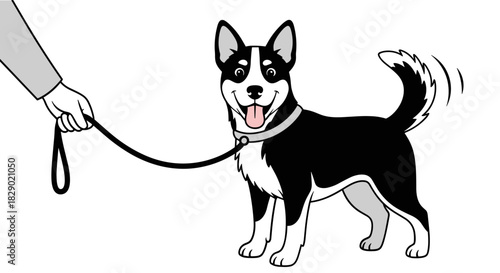 Happy black and white dog on leash wagging tail
