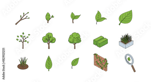 Collection of green leaves and trees in flat style for nature design projects