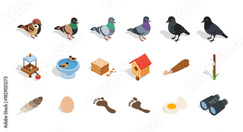Isometric birds and accessories set with pigeons, crows, and birdhouse items