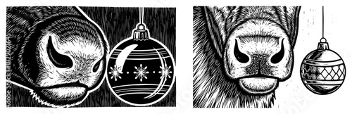 Close up of cow snout next to christmas bauble in woodcut engraving style vector illustration