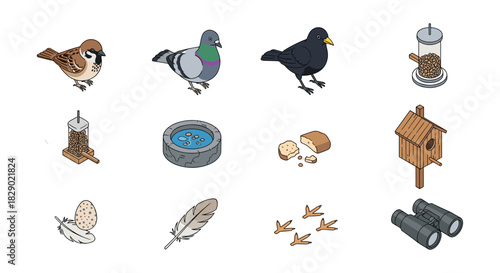Bird watching essentials: sparrows, pigeons, feeders, and more in cartoon style