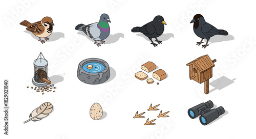 Engaging collection of isometric birds, feeders, and outdoor elements