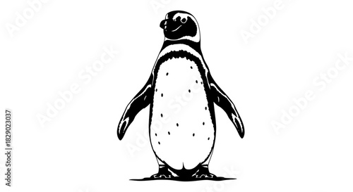 Distinct Magellanic Penguin Standing on a Patagonian Beach with Flippers Wildlife