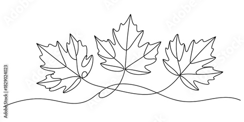 Continuous line art drawing of three maple leaves, simple minimalist black outline illustration of autumn foliage, natural design element Vector, illustration