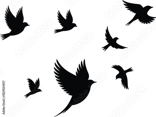 Graceful flock of birds soaring freely against a bright sky, symbolizing freedom and nature's beauty.