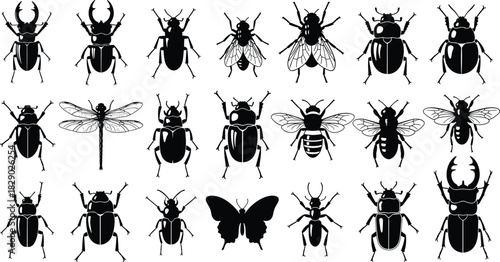 Collection of Beetles, Bees, Flies, Dragonfly, and Butterfly Icons for Entomology and Nature Design.
