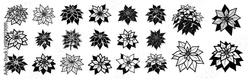 Christmas poinsettia flower vector set featuring hand drawn holiday floral elements and winter plant blooms