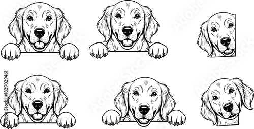  Happy Puppy Peeking Over a Sign or Banner, Perfect for Pet Shop and Veterinary Clinic Logos.