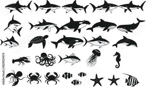 Large Collection of Sea Life Vector Silhouettes Including Sharks, Whales, Crabs, and Various Marine Ocean Animals