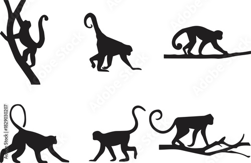 Silhouette set of monkeys in dynamic poses for animal movement study, behavior illustration, and jungle-themed vector design.