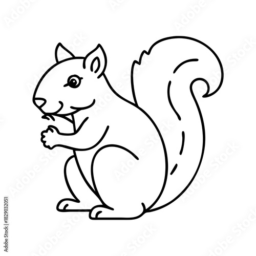 squirrel