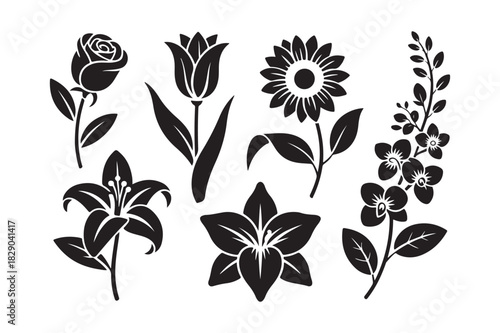 Collection of black silhouette flower illustrations