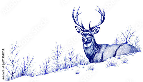 Vintage sketch of a deer resting in a snowy landscape  
