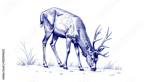 Vintage sketch of a deer feeding in snow, drawn with blue ink  