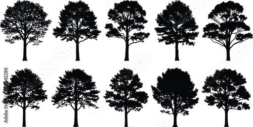 Collection of detailed tree silhouettes featuring various forest trees, natural foliage shapes, botanical outlines, woodland vegetation and landscape elements for design