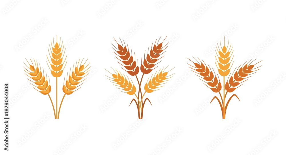 Obraz premium Three sheaves of golden wheat stalks are displayed in an isolated illustration