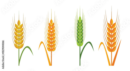 Four sheaves of wheat in varying shades of gold and green