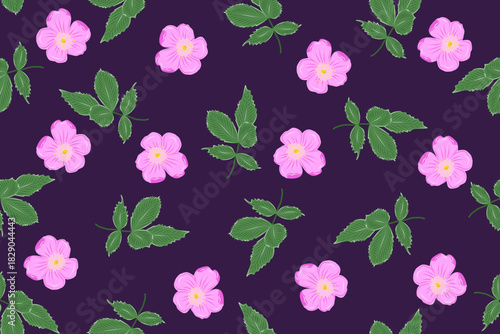 Vector rosehip seamless pattern with pink flower and green leaves on a lilac background. Floral background of plants rich in vitamin C.