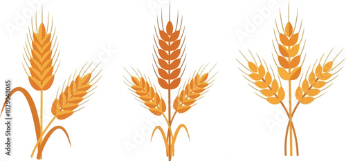 Three golden wheat stalks illustration a simple depiction of grain harvest
