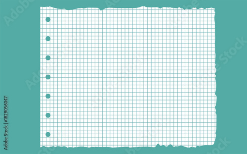 Graph paper. Printable lined and squared grid paper with color lines. Geometric background for school, textures, notebook, diary. Realistic ripped aged paper blank.