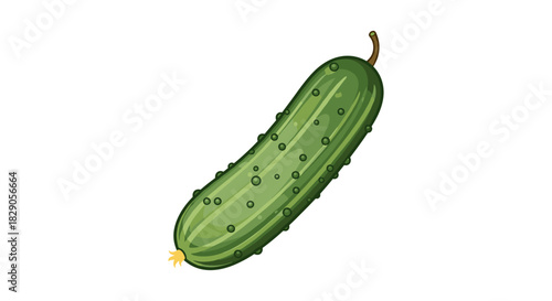 Realistic fresh cucumber on white background with detailed texture for food design