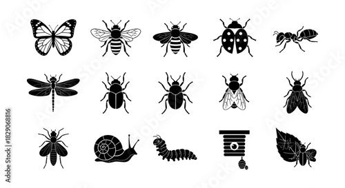 Silhouette insects collection: bees, beetles, butterflies, and more