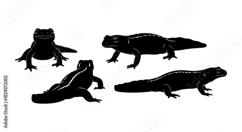Newt silhouette set: diverse poses of amphibians in black and white