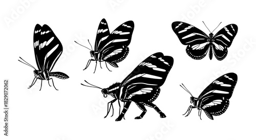 Detailed collection of butterfly silhouettes in various poses