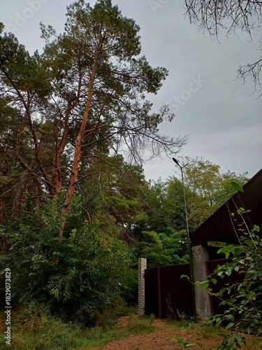 house in the woods