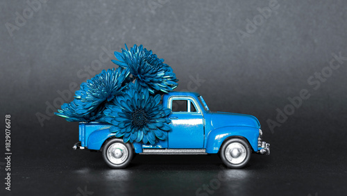 An old blue car carries blue chrysanthemum flowers on a black paper background