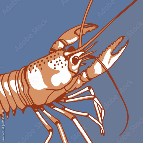 A close up illustration of a stylized orange lobster