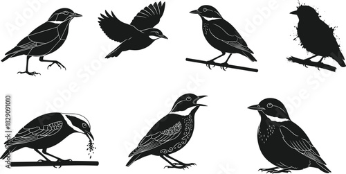 Set of Eight Small Bird Silhouettes Vector Illustration, Various Styles and Poses Including Flying, Perching, and Feeding, Detailed Avian Wildlife Nature Graphics Collection