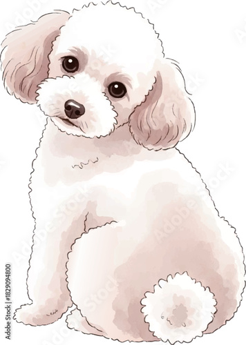 お座りして後ろを振り返るの水彩風イラスト