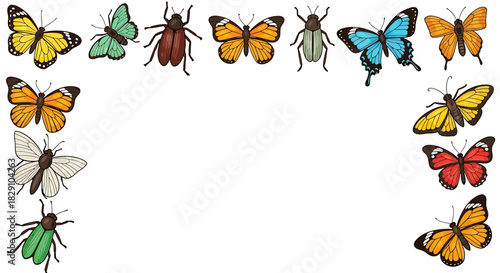 Collection of Various Colorful Insects Including Butterflies and Beetles Arranged in a Decorative Border Design on a White Background