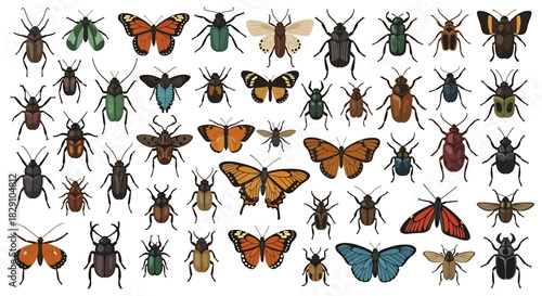 Diverse Collection of Insects and Butterflies A Detailed Illustration of Various Species on White Background