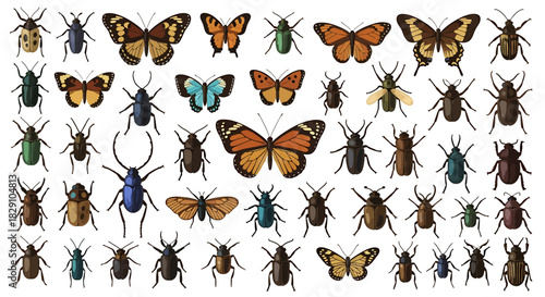 A vibrant collection of diverse insects, showcasing a variety of butterflies, beetles, and bugs, presented in a flat design style for educational or artistic purposes
