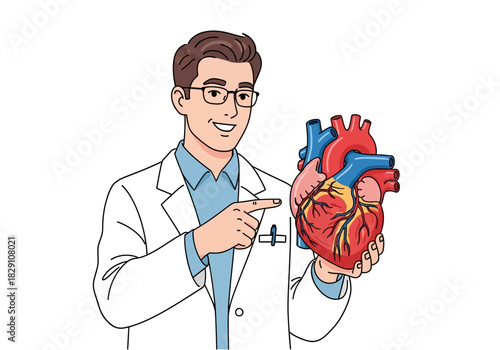 Cartoon Doctor Presenting Anatomical Heart Model with Red and Blue Vessels