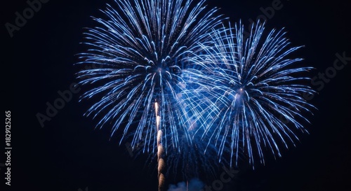 Bright blue aerial fireworks bursting in the dark night sky