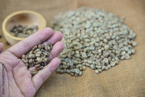 hand hold defect of green bean coffee checking before roasting in home