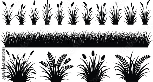 Black Silhouette of Wild Grass, Reeds, and Cattails Vector Set, Isolated Marshland and Meadow Herbarium Collection, Aquatic River Plants and Botanical Elements Bundle