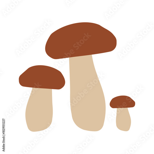 Porcini mushroom group (Boletus edulis) – detailed hand-drawn vector illustration of multiple fungi isolated on white for culinary projects, labels, and food product branding. Autumn atmosphere.EPS 10
