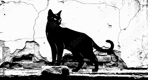 A sleek black cat stands gracefully against a weathered, textured brick wall.
