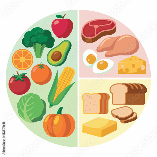 Vector a circular chart divided into four sections showing various food groups and healthy eating habits