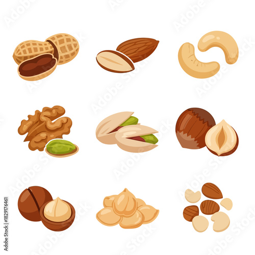 Nut Icons Including Almonds, Peanuts, Pistachios, Walnuts, Hazelnuts, and Mixed Nuts