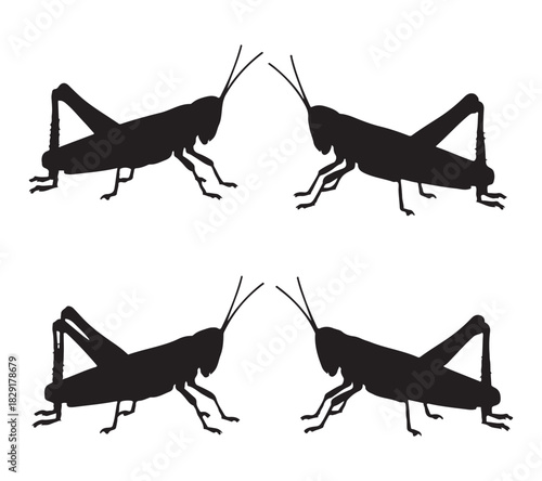  Four black grasshopper silhouettes facing each other in pairs