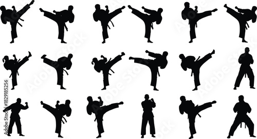 Set of dynamic martial arts silhouettes performing high side kicks and fighting poses, symbolizing Karate, Taekwondo, self-defense, combat sports, and training action vector collection, isolated.