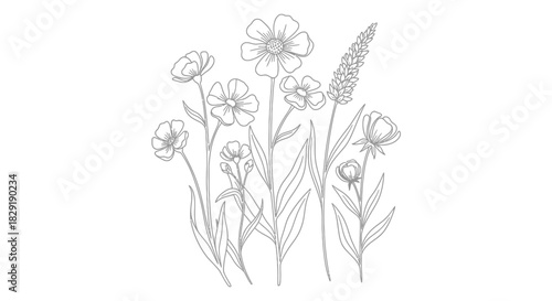 Detailed Line Art Botanical Illustration of Standing Wild and Herbal Flowers