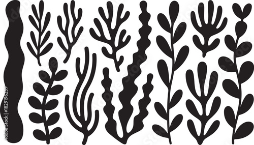 Collection of seaweed and ocean plant silhouettes with transparent background