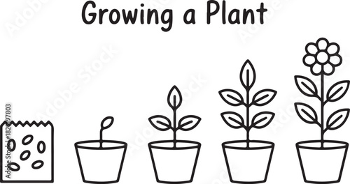 Growing plant concept seedling into flowerpot linear style gardening process