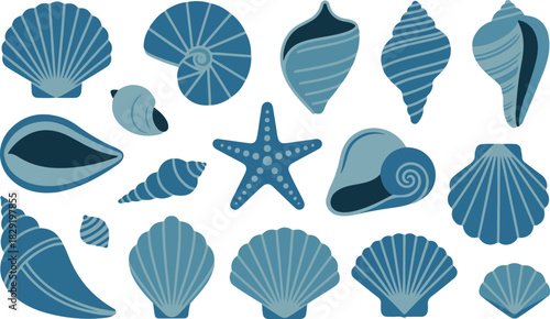 Collection of sea shells and starfish nautical ocean beach design elements shells
